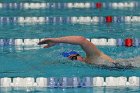 Women's Swimming & Diving  Wheaton College Women’s Swimming & Diving vs Mount Holyoke College. - Photo by Keith Nordstrom : Wheaton, Swimming & Diving